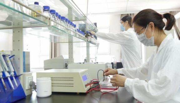 一个女企业家的现代农业之梦——访球盟会董事长徐志文 一个女企业家的现代农业之梦——访球盟会董事长徐志文