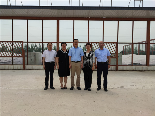 农业农村部微生物肥料和食用菌菌种质量监视磨练测试中心李俊主任、姜昕主任来球盟会公司调研、指导事情 农业农村部微生物肥料和食用菌菌种质量监视磨练测试中心李俊主任、姜昕主任来球盟会公司调研、指导事情