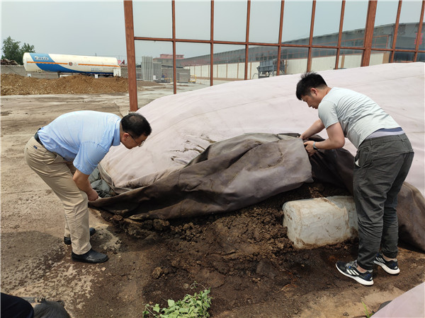 农业农村部微生物肥料和食用菌菌种质量监视磨练测试中心李俊主任、姜昕主任来球盟会公司调研、指导事情 农业农村部微生物肥料和食用菌菌种质量监视磨练测试中心李俊主任、姜昕主任来球盟会公司调研、指导事情