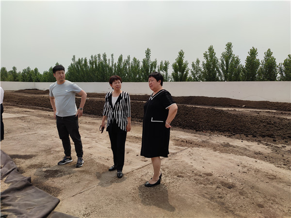 农业农村部微生物肥料和食用菌菌种质量监视磨练测试中心李俊主任、姜昕主任来球盟会公司调研、指导事情 农业农村部微生物肥料和食用菌菌种质量监视磨练测试中心李俊主任、姜昕主任来球盟会公司调研、指导事情