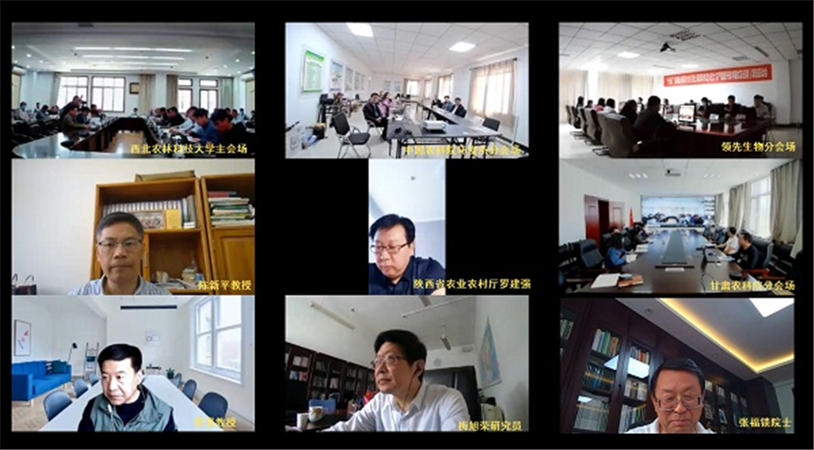 球盟会生物|国家重点研发妄想“黄土高原旱作适水改土与产能提升手艺模式及应用”项目启动 球盟会生物|国家重点研发妄想“黄土高原旱作适水改土与产能提升手艺模式及应用”项目启动