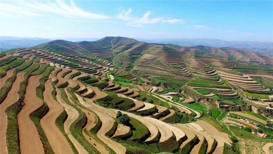 球盟会生物|国家重点研发妄想“黄土高原旱作适水改土与产能提升手艺模式及应用”项目启动 球盟会生物|国家重点研发妄想“黄土高原旱作适水改土与产能提升手艺模式及应用”项目启动