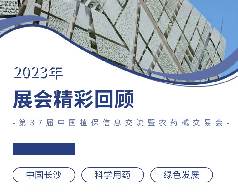 �涯��ɳ ��������ح�й�ֲ��˫����Բ���չ��������˻������Ʒʵ��Ȧ�ۣ�